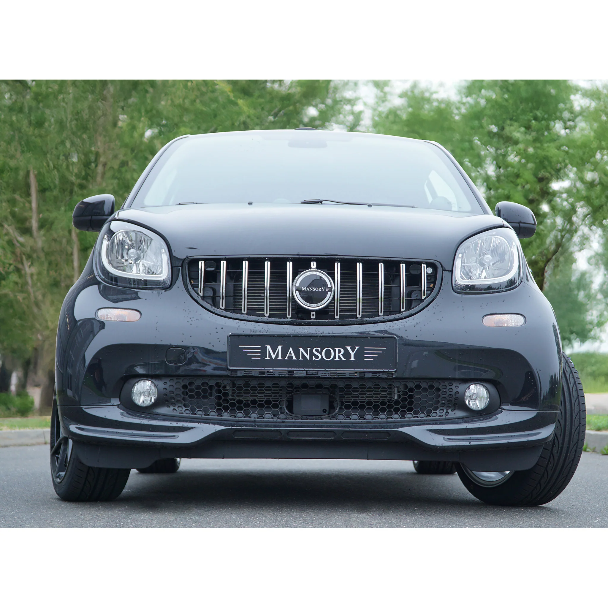MANSORY Smart Fortwo Cabrio Front Grill Mask - Image 6